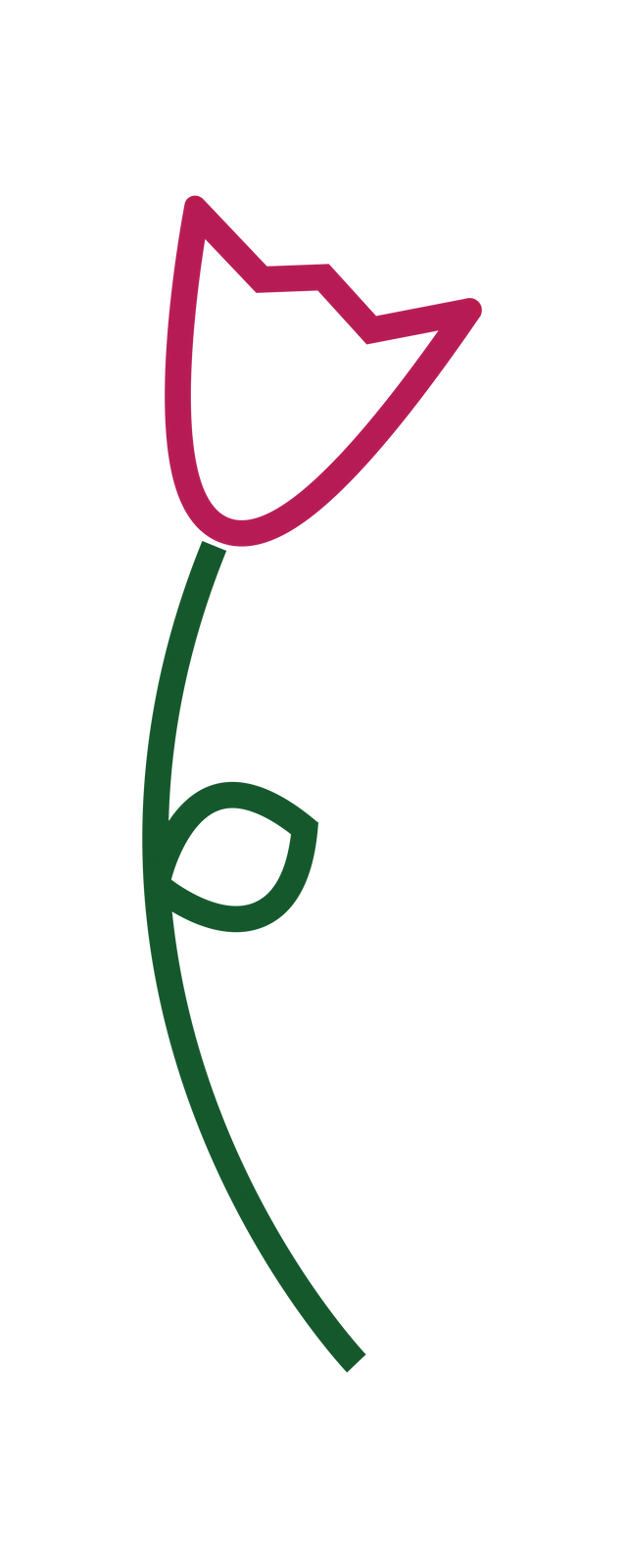 Tulip Graphic.png